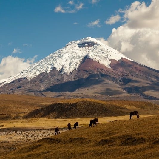 L’Equateur, des volcans de la cordillère à la théorie de Darwin