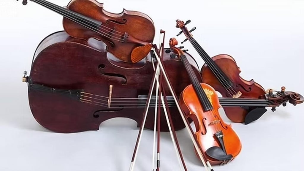 String quartet in Oradea