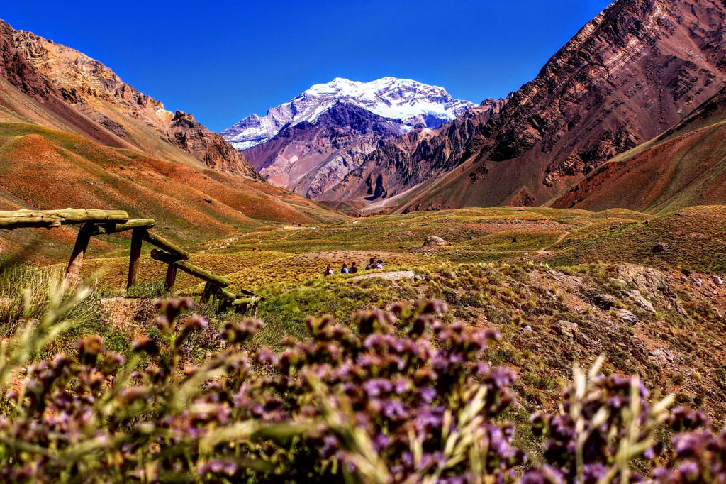 Cordillera Arriba – Exposition à la Galerie Argentine
