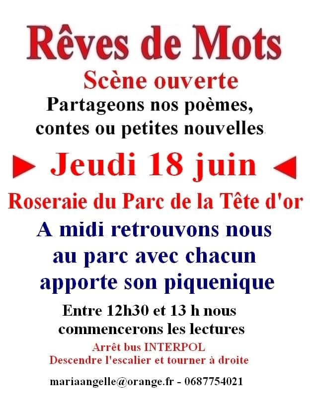 Rêves de Mots