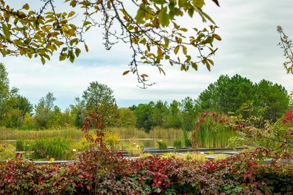 Découverte et balade au jardin botanique