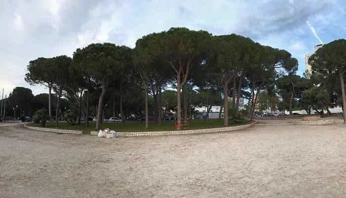Pique-nique entre membres au parc de la Pinède