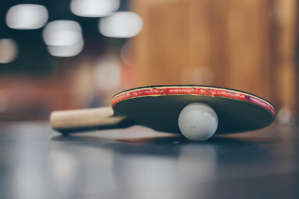 Ping Pong et Pique-Nique