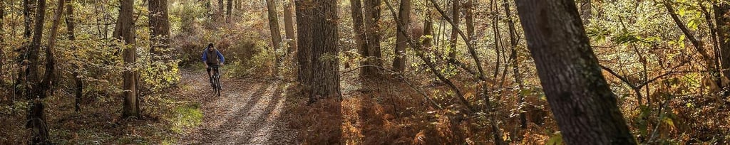 đ„Ÿ Immersion Nature en ForĂȘt Domaniale de Bouconne