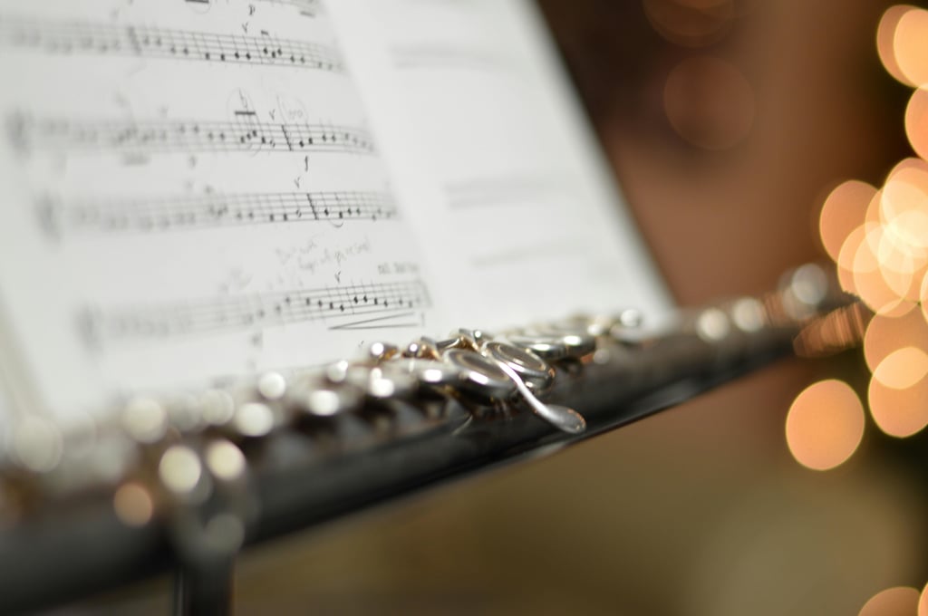 Concert Symphonique Bruch & Haydn 