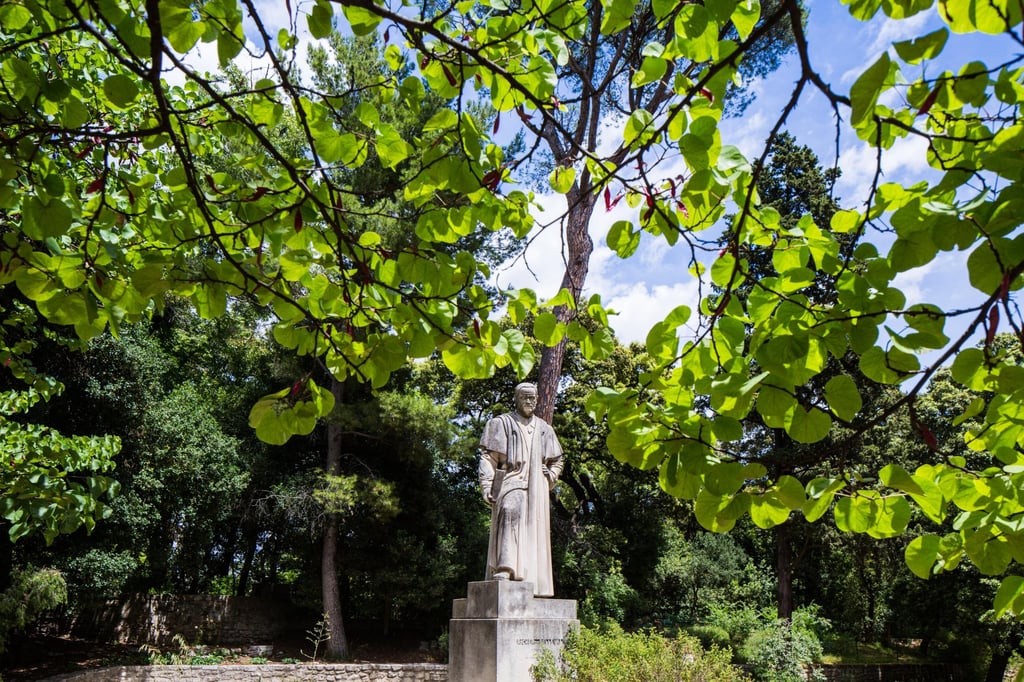 🌿 Visite guidée du Jardin des Plantes de Montpellier