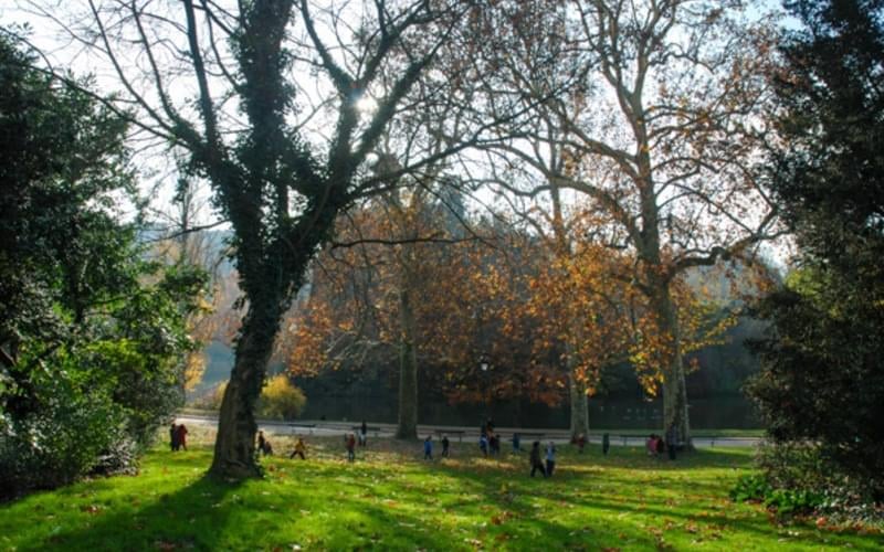 đ§ș Pique-nique convivial au Parc des Buttes-Chaumont