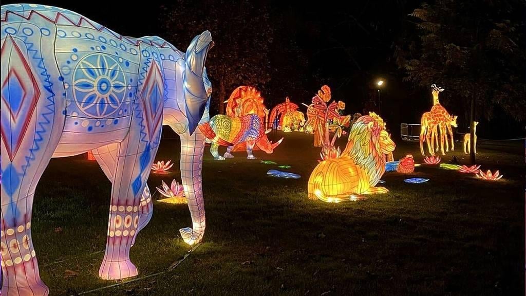 🎄L'Odyssée Lumineuse au Parc floral de Paris 