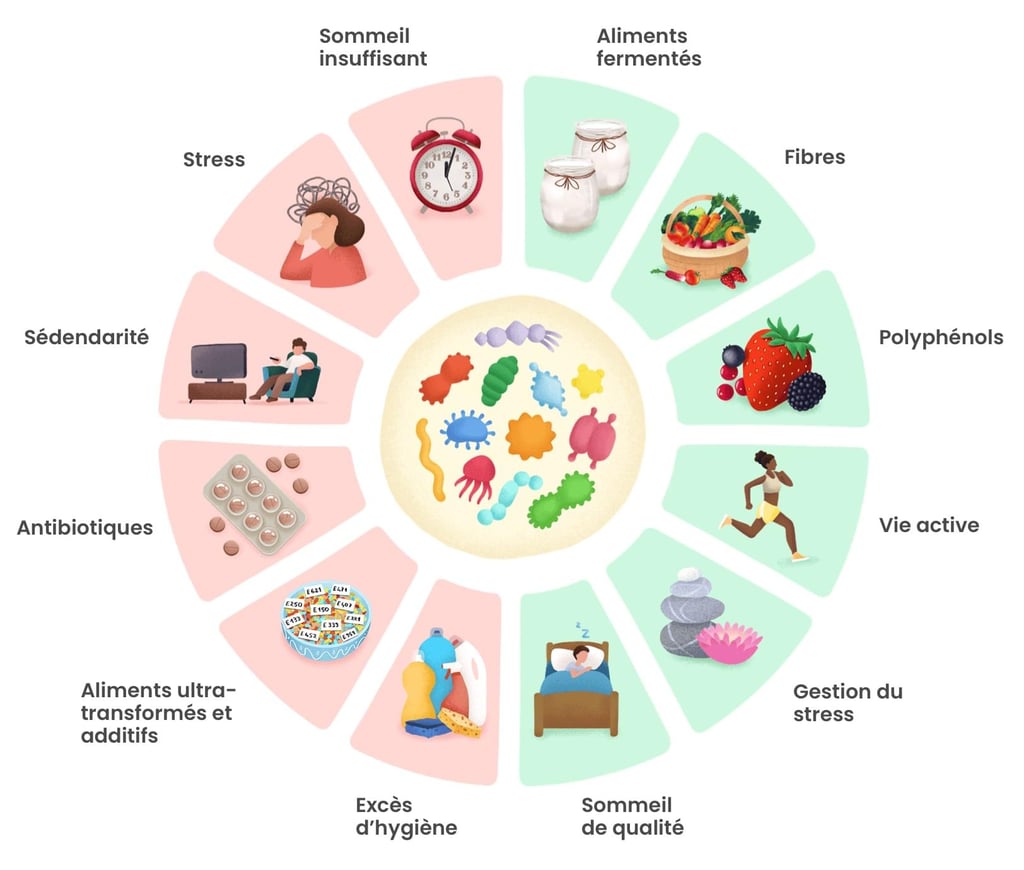 🌱 Bien-être & Microbiote : Visio avec Christine