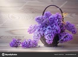 Delicate Purple Flowers on Grey Background