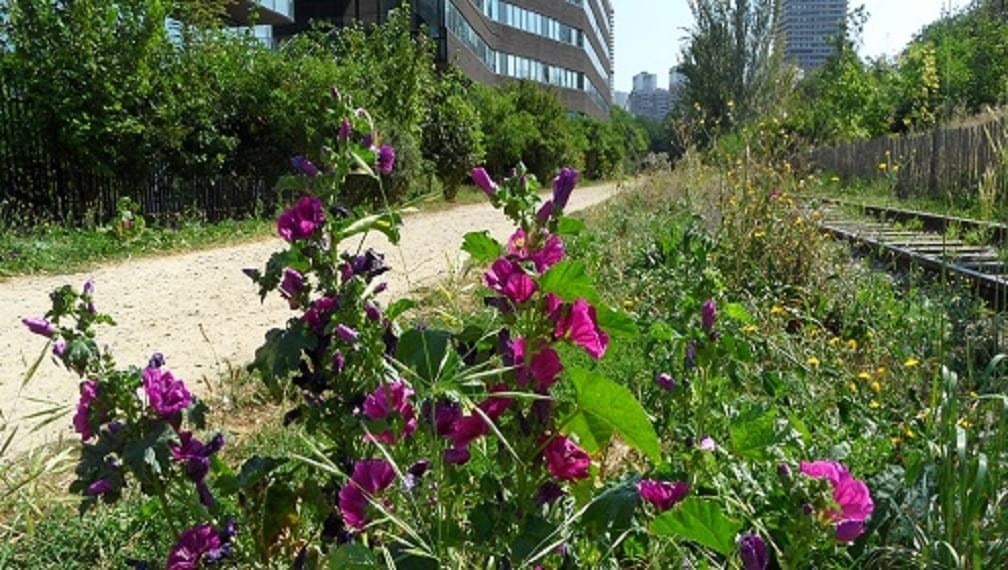 a street sign in front of an arch of triumph
