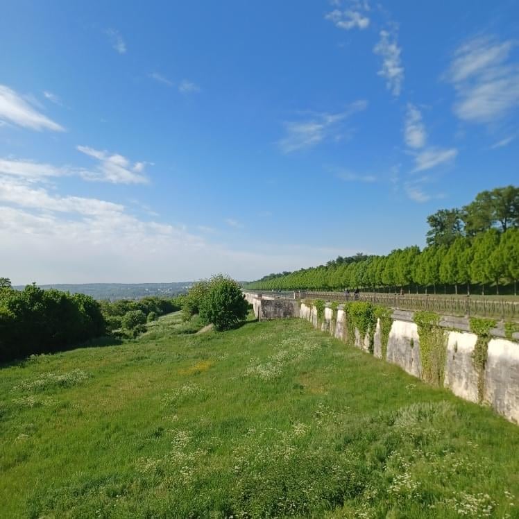Balade sur la terrasse et forêt de St Germain en Laye