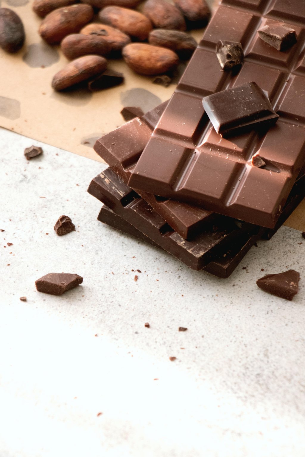 Visite du Musée du Chocolat et dégustation