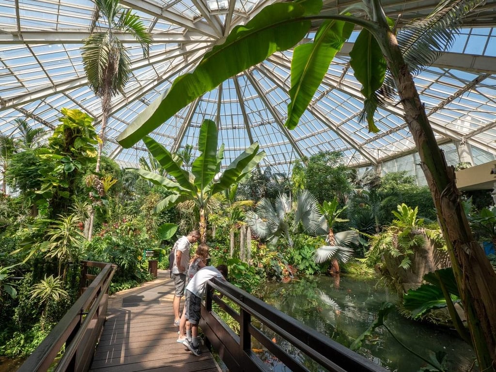 🦚 Journée découverte au Parc Phoenix P2