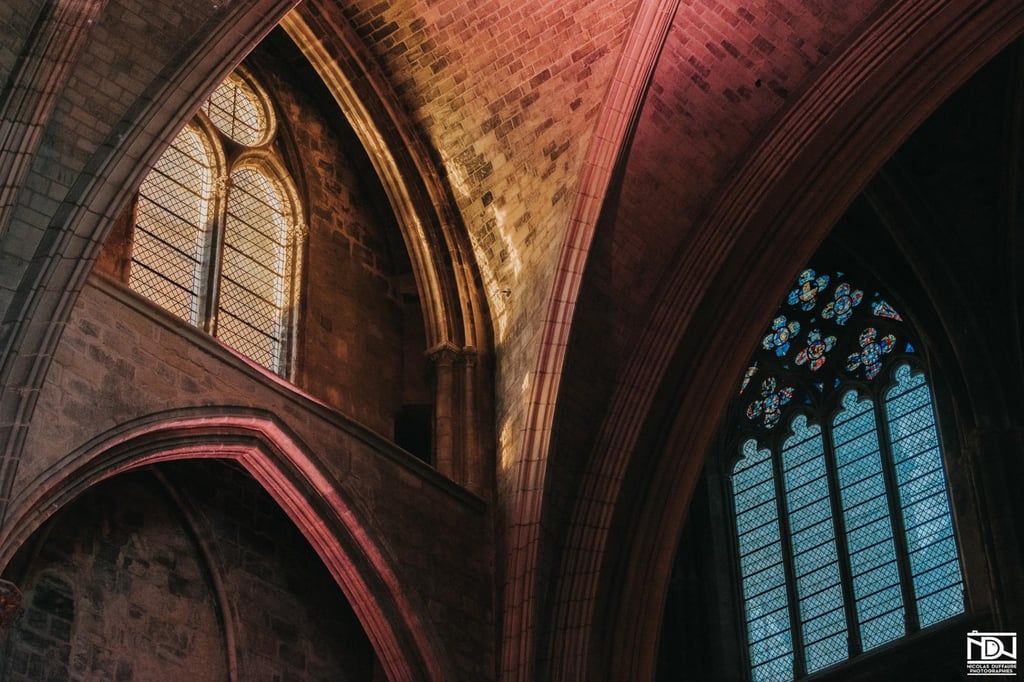 Concertos pour orgue à la Cathédrale Saint-André