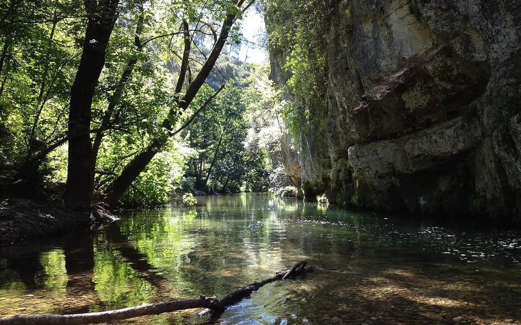 Marche le long des rives du Loup