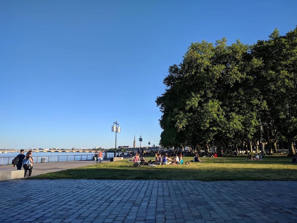 Un pique-nique au parc un samedi après-midi ensoleillé, en petit groupe