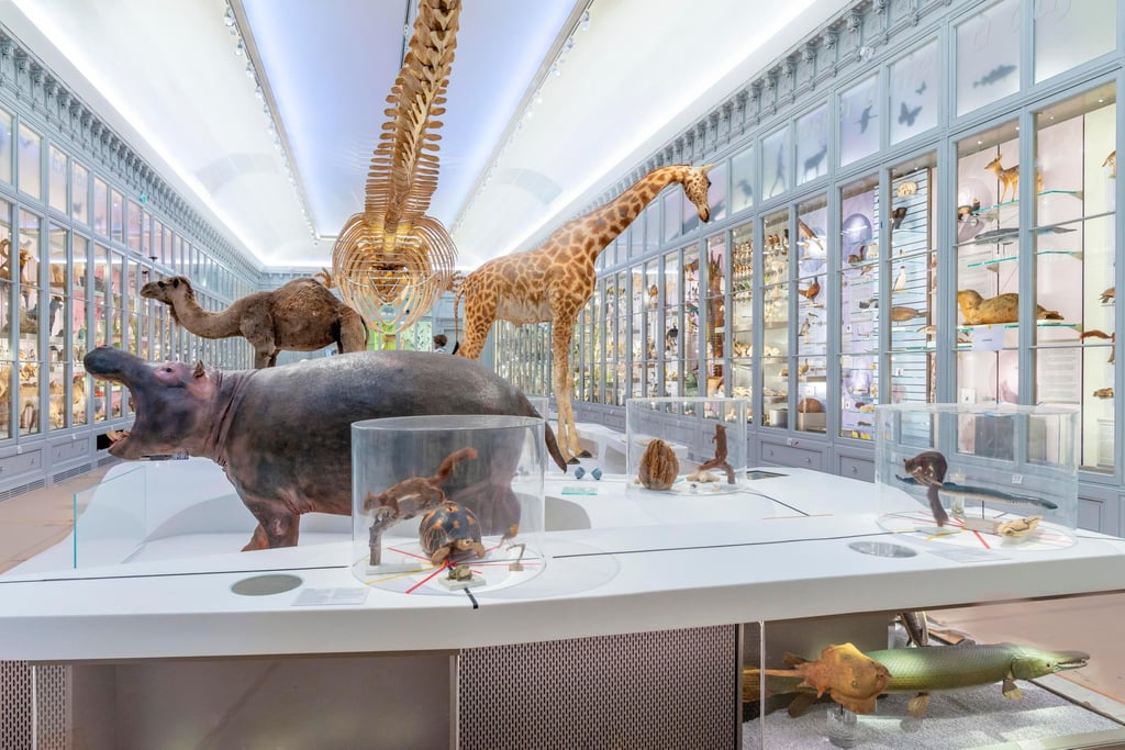 Sciences au muséum de bordeaux