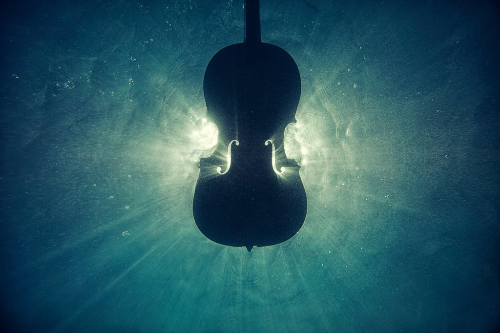 🎼 Concert "Nuits d'été" – Quintette à vents Linos