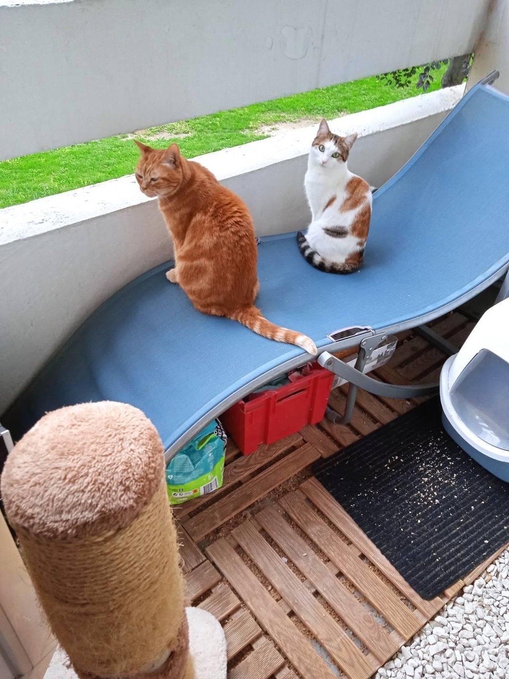 a group of playing cards sitting on top of a floor