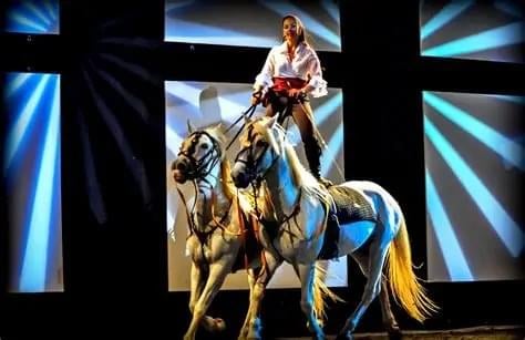 a woman is petting a horse with a hat on