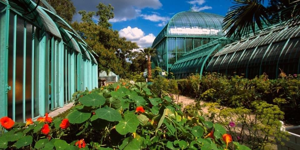 🌿 Voyage botanique : Le Jardin des Serres d'Auteuil P2