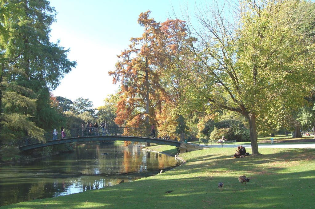 Matinée au jardin public