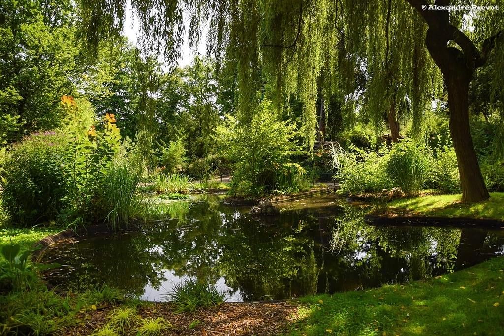 Flânerie au parc sainte-marie