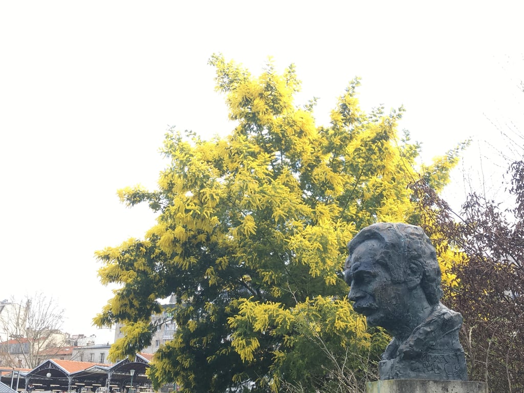 Balade musicale sur les pas de Georges Brassens à Plaisance, pique-nique et festival de musique