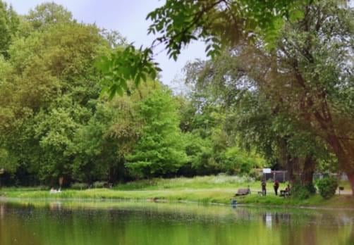 Balade à Bègles (Dorat) : Du rail au Delta Vert : paysages en mouvement