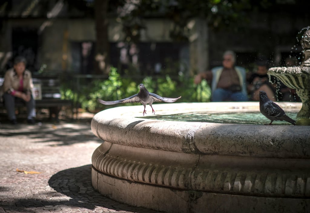 Fontaines d'hier et d'aujourd'hui