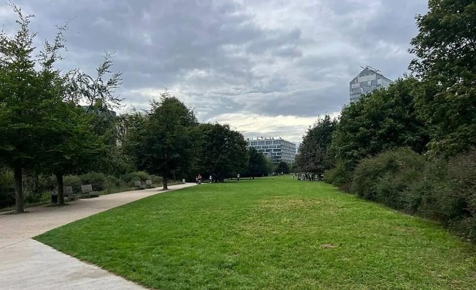 Jeux de société 