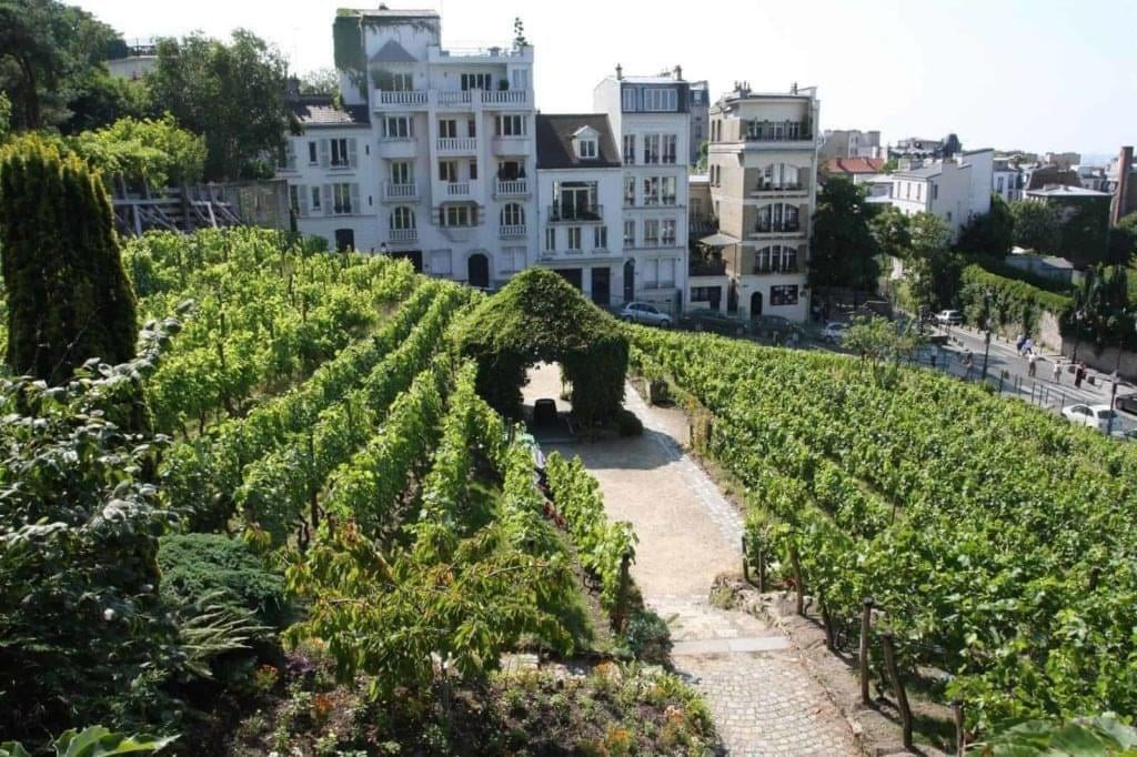 La fête des vendanges à Montmartre  