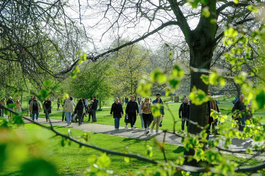 Marche nordique au Parc Martin Luther King