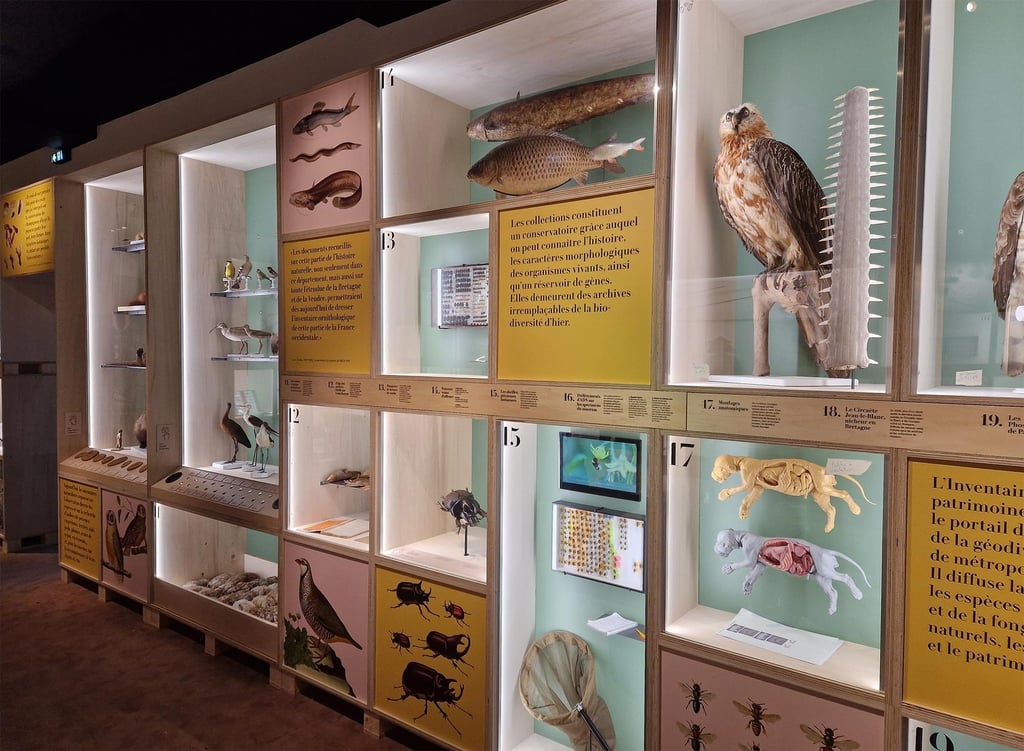 Exposition "Trésors & biodiversité"