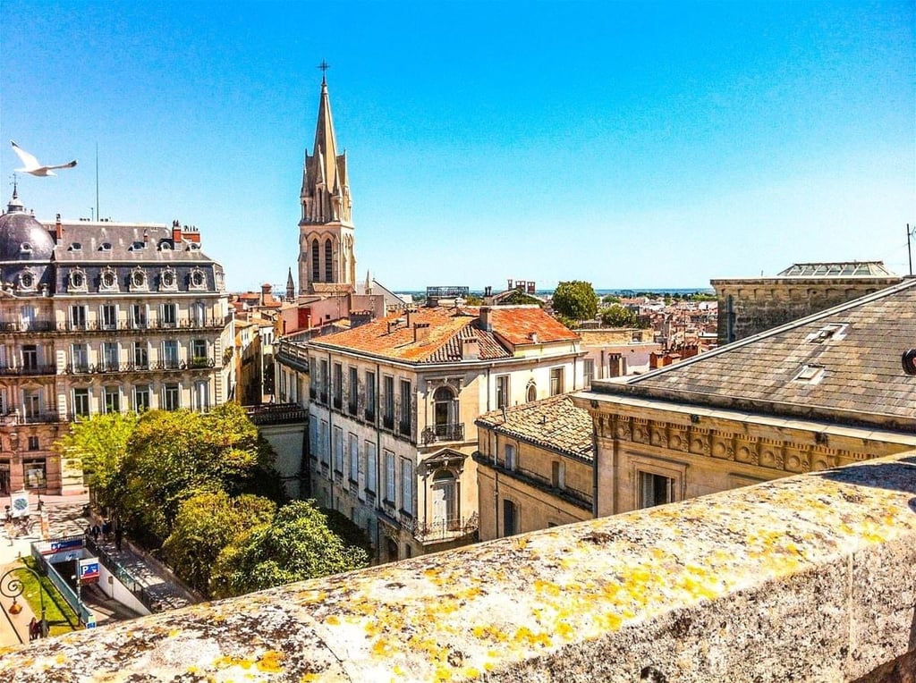 🏛️ Visite guidée : Montpellier, le centre historique - L'Essentielle