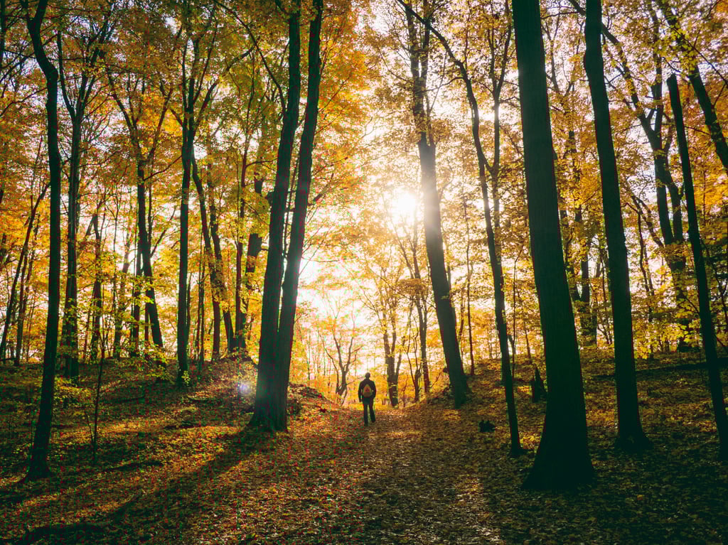 Marche Nordique au Parc Saint Nicolas