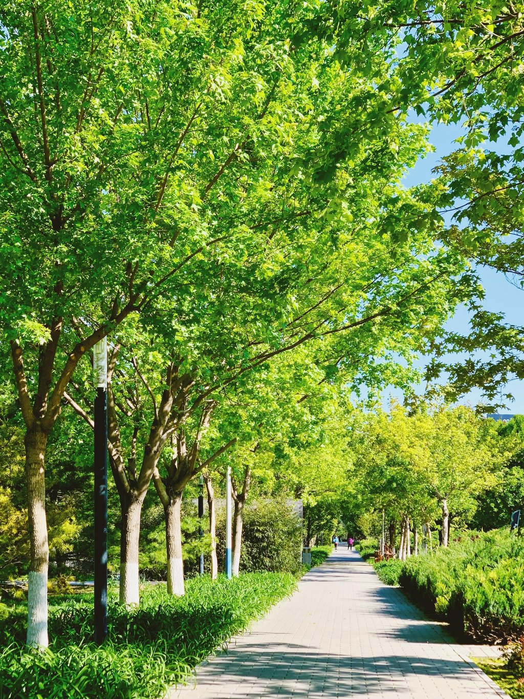 Balade de la Voie Verte à Caluire