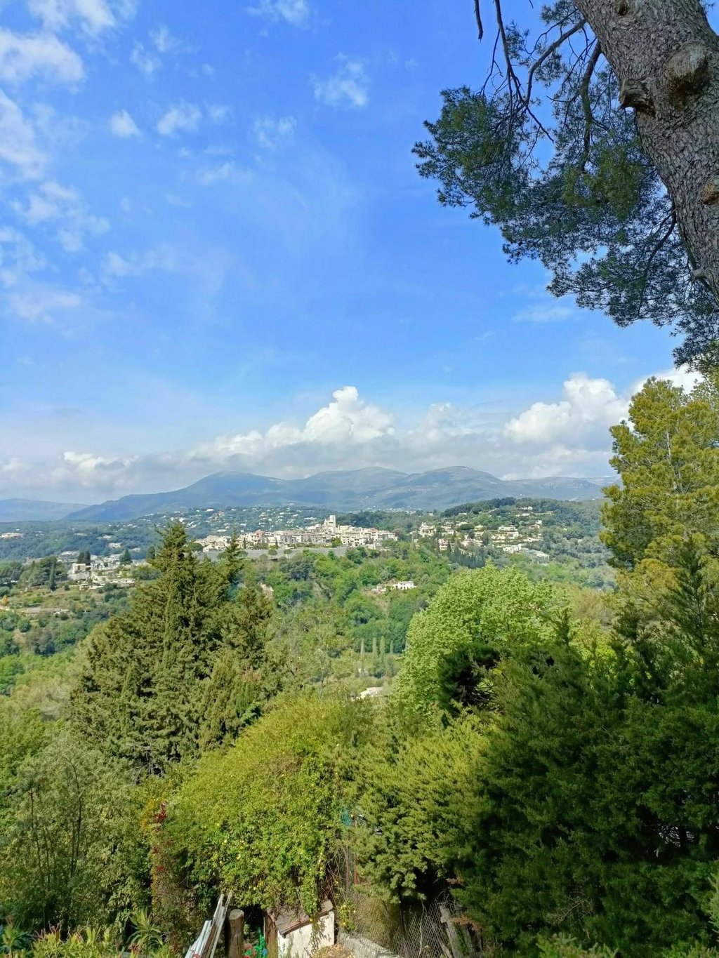 Escapade nature dans la forêt de la Sine