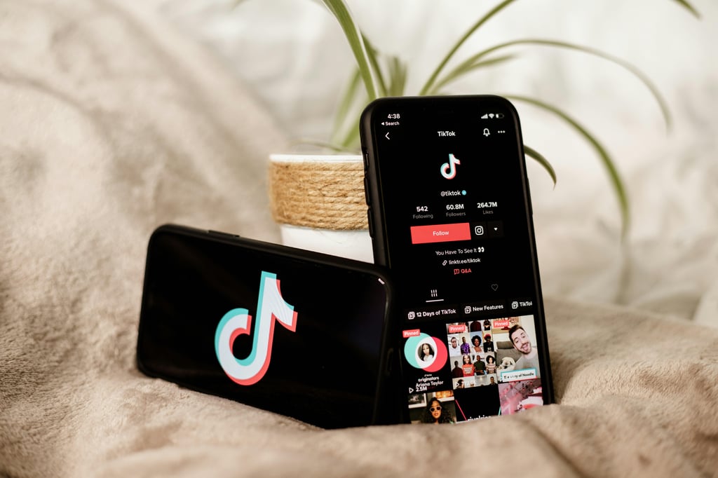 TikTok : comprendre enfin comment ça marche !