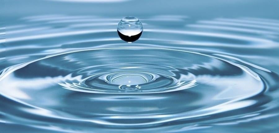 a close up of water droplets on a plant