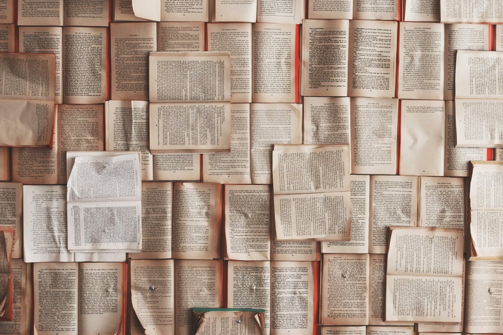 À la rencontre de vos futures belles lectures ✨