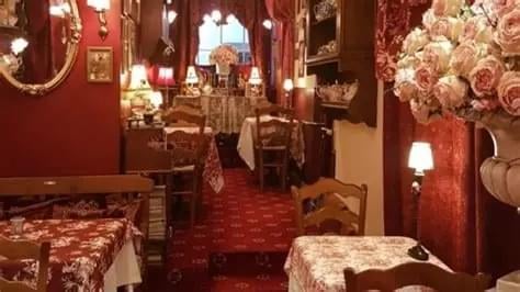 a garden with flowers