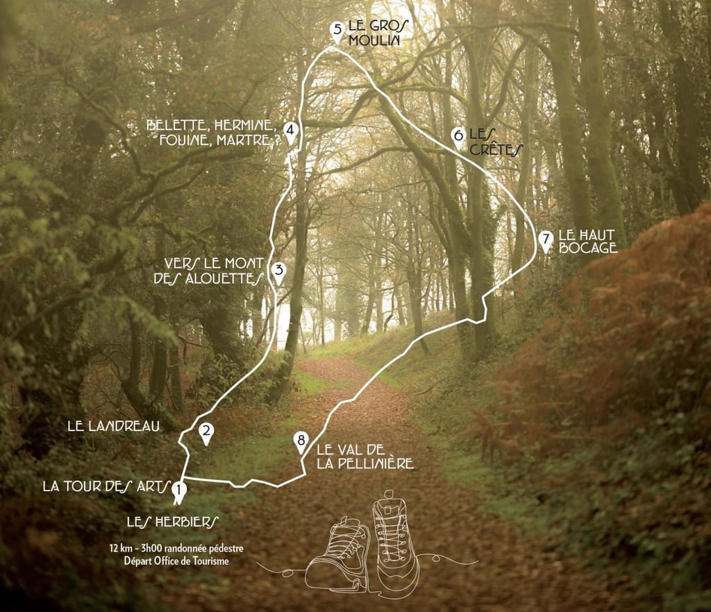 🥾 Randonnée & Nature : Le Sentier des Alouettes à Corbas