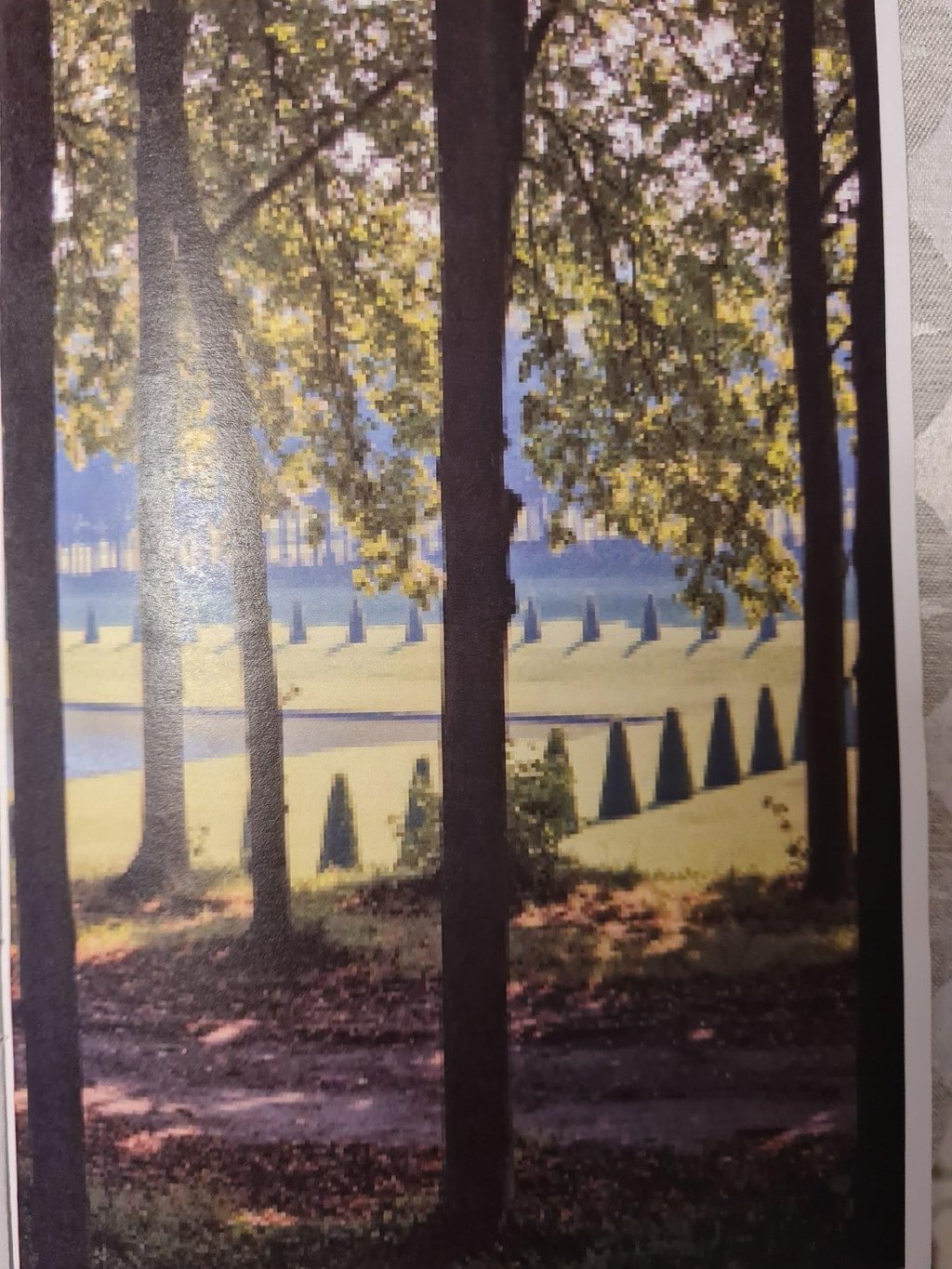 Promenade à MARLY-LE-ROI