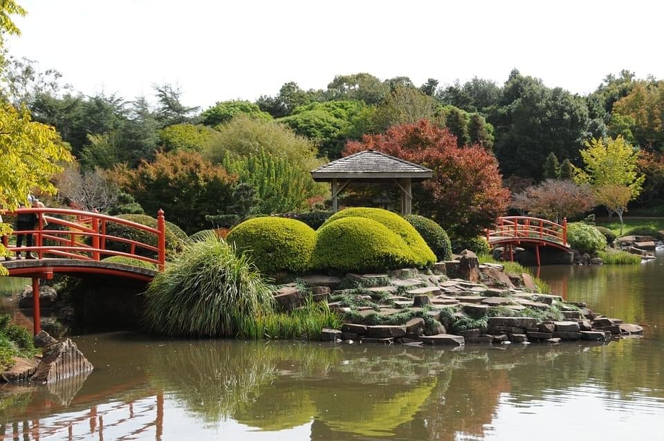 Évasion végétale au parc borély