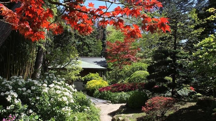 Un samedi au Jardin Albert Kahn