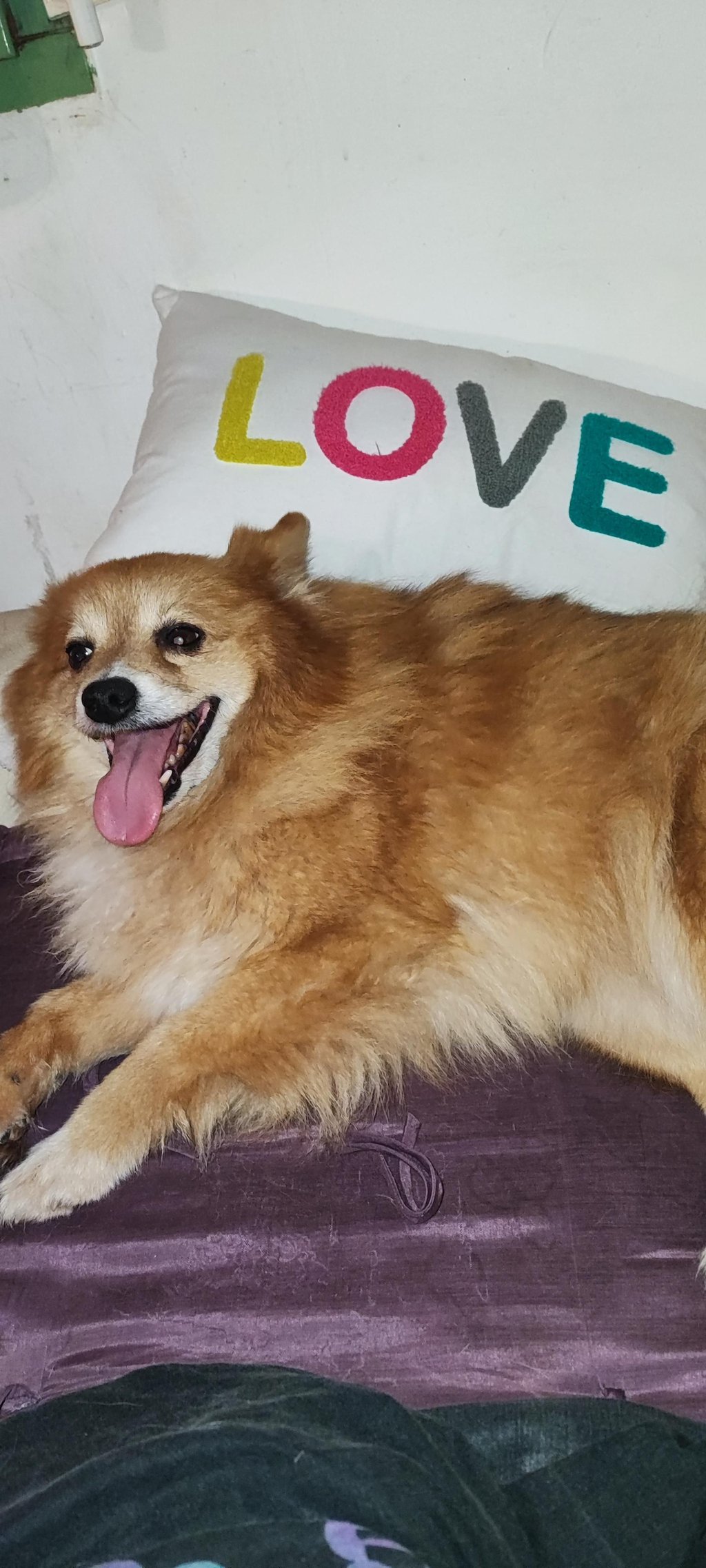 A sign for a restaurant in a foreign country