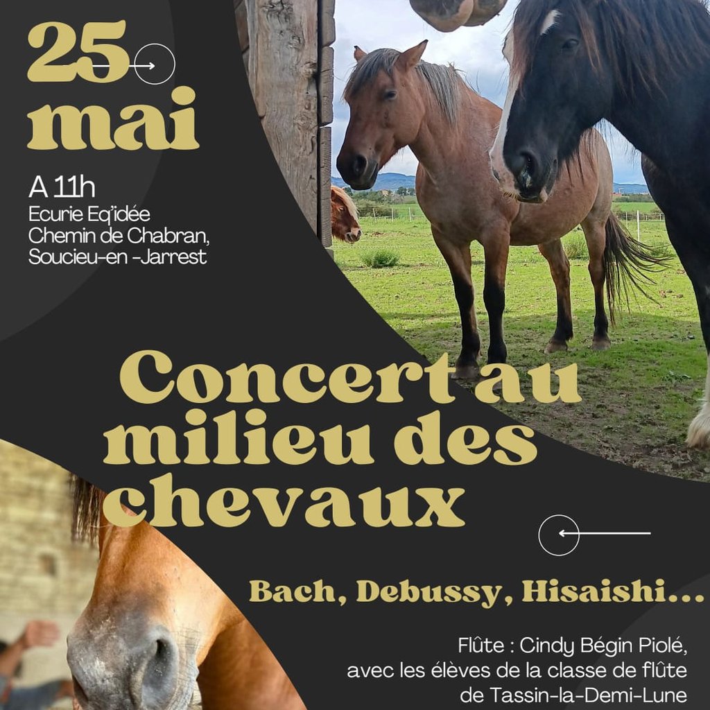 Concert flutes traversiere