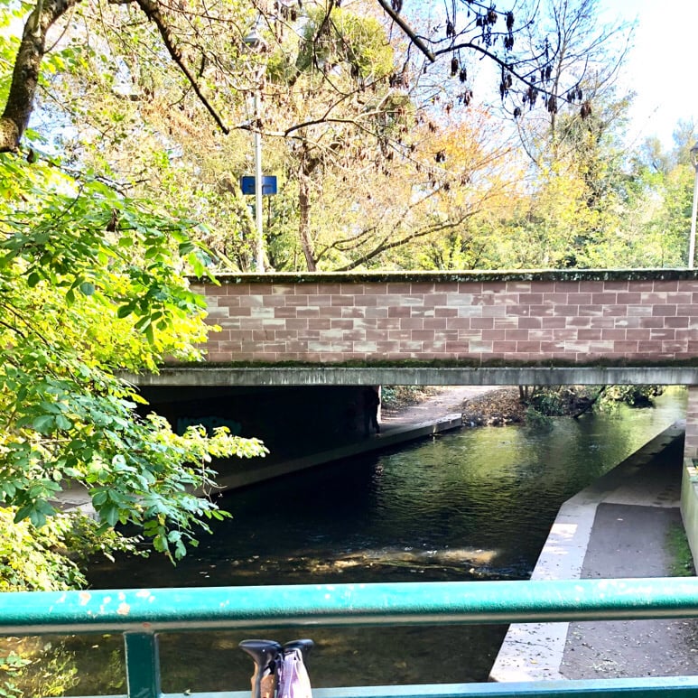 Promenade au bord de l’eau…🚶♂️🧘♀️ 😋